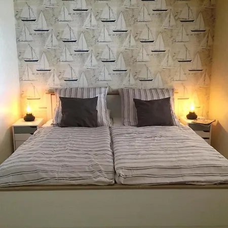 Austernfischer H-6-1 *