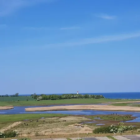 Austernfischer H-6-1 Apartment Heiligenhafen